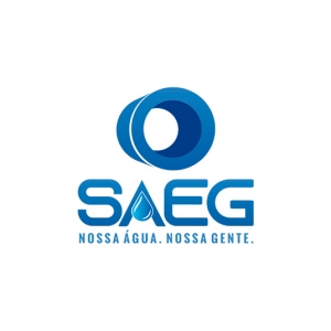 saeg